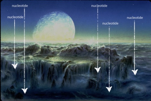 nucleotides-ocean